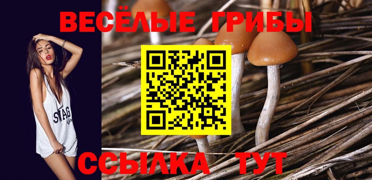 Мирный  Псилоцибиновые грибы MAGIC MUSHROOMS  Вход с VPN 
