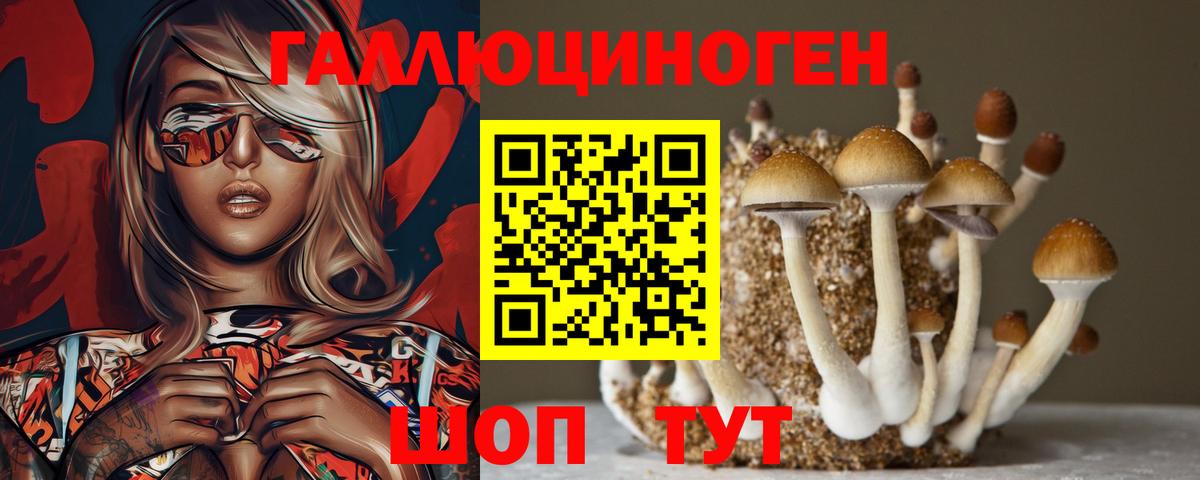 Псилоцибиновые грибы GOLDEN TEACHER Мирный